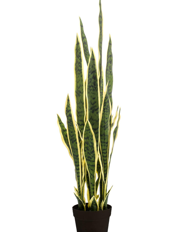 Kunstplant - Sanseveria Trifasciata - Vrouwentong - ↕ 97 cm