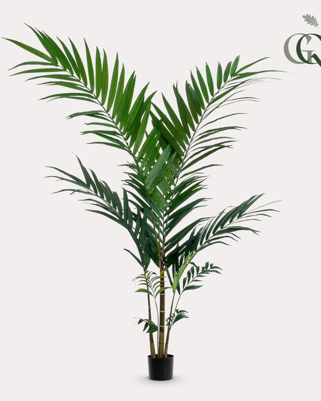 Kunstplant - Kentia -Kentiapalm - ↕ 150cm