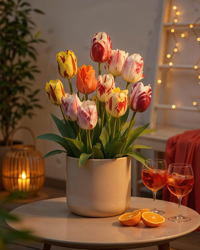 Bloembollen - Tulp Flaming Beauty mix - Diversen Kleuren - 15 stuks - Bolmaat 11/12 - XXL Pack