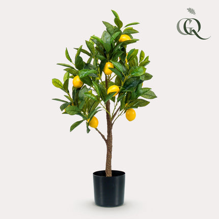 Kunstplant - Citrus Limonia - Citroenboom - ↕ 75 cm