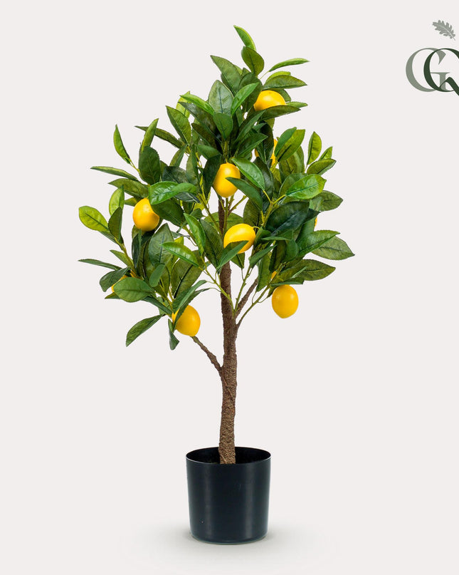 Kunstplant - Citrus Limonia - Citroenboom - ↕ 75 cm