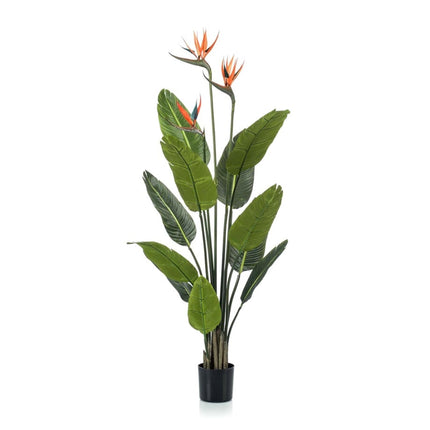 Kunstplant - Strelitzia met bloemen - ↕ 120cm - In zwarte pot
