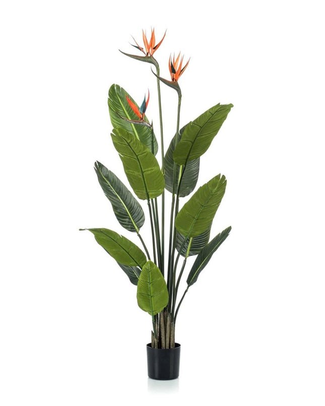 Kunstplant - Strelitzia met bloemen - ↕ 120cm - In zwarte pot