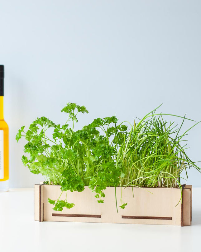 Kruidenpost - Brievenbuscadeau