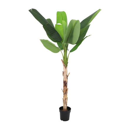 Planta artificial Plátano Musa - 190cm