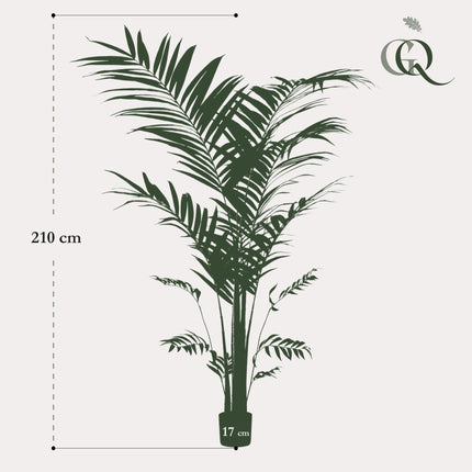 Kunstplant - Kentia -Kentiapalm - ↕ 210cm