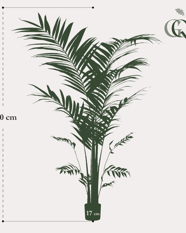 Kunstplant - Kentia -Kentiapalm - ↕ 210cm