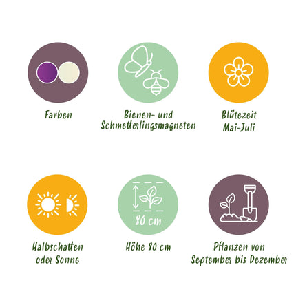 Bloembollen - Allium Purple White Mix - Kleur Paars en Wit - 15 stuks - Bolmaat 10/12 - XXL Pack