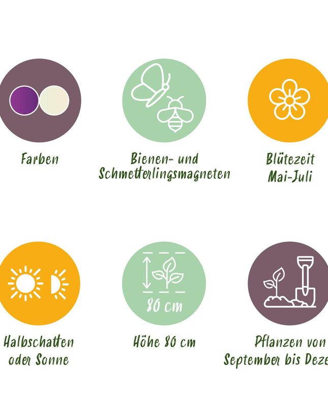 Bloembollen - Allium Purple White Mix - Kleur Paars en Wit - 15 stuks - Bolmaat 10/12 - XXL Pack