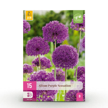 Bloembollen - Allium Purple Sensation - Kleur Paars - 15 stuks - Bolmaat 10/12 - XXL Pack