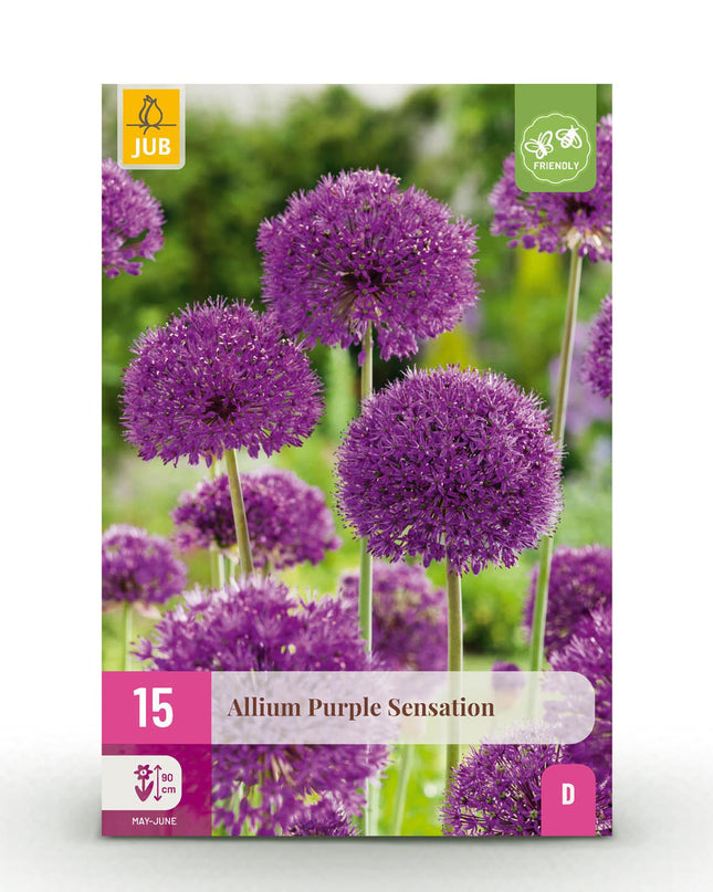 Bloembollen - Allium Purple Sensation - Kleur Paars - 15 stuks - Bolmaat 10/12 - XXL Pack