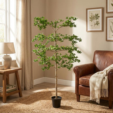 Planta artificial Bucida - 200cm