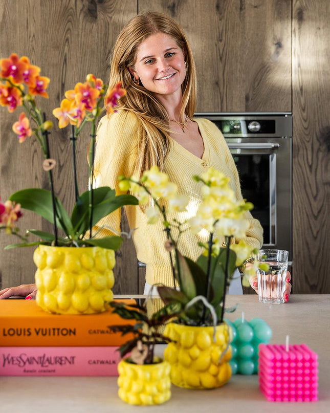 Kolibri Orchids | oranje geurende Phalaenopsis orchidee - Fragrance - potmaat Ø9cm | bloeiende kamerplant - vers van de kweker