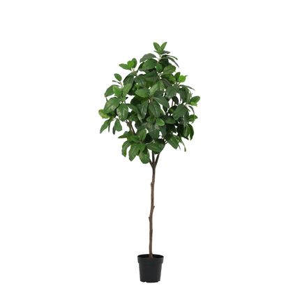 Planta artificial Magnolia - 190cm