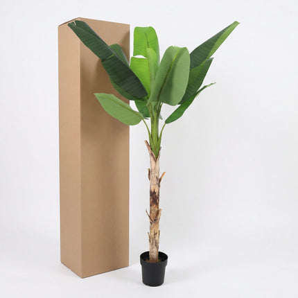 Planta artificial Plátano Musa - 190cm