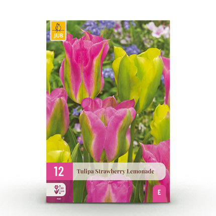Bloembollen - Tulp Strawberry Lemonade - Diversen Kleuren - 12 stuks - Bolmaat 11/12 - XXL Pack
