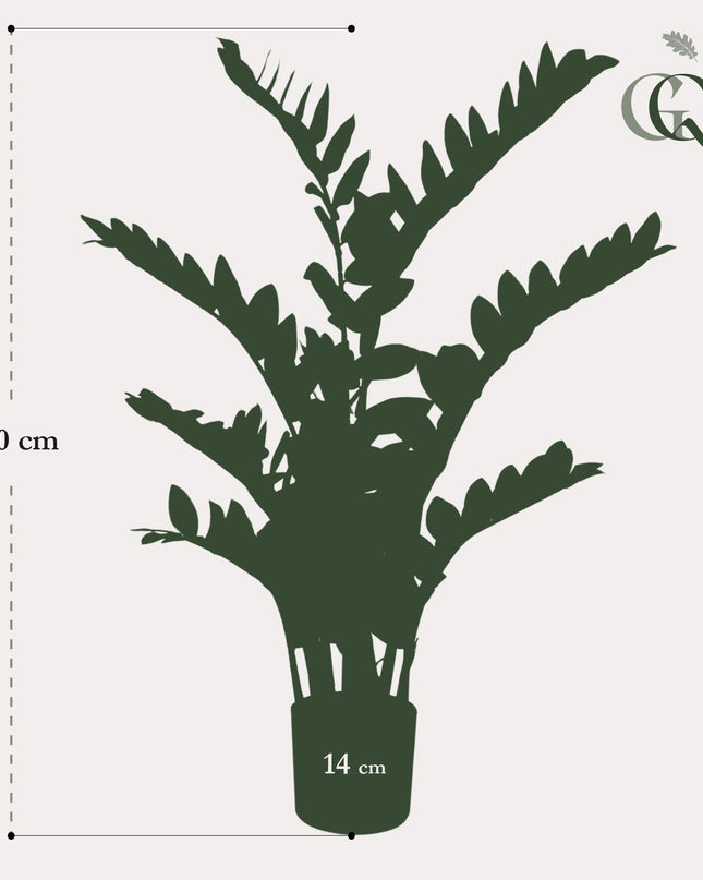 Kunstplant - Zamioculcas - Kamerpalm - 110 cm