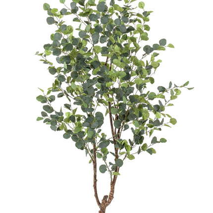 Kunstplant - Eucalyptus - Blauwe Gomboom  - ↕ 180 cm