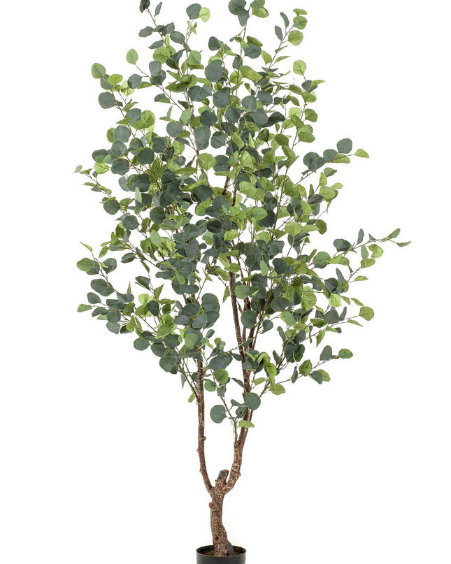 Kunstplant - Eucalyptus - Blauwe Gomboom  - ↕ 180 cm