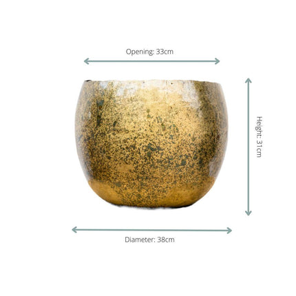 Ellen Ottone - 38x31