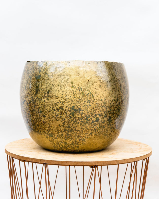 Ellen Ottone - 38x31