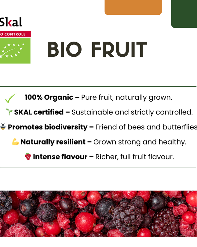 Mix di piante da frutto BIO 5 pezzi - Lampone/ Ribes/ Mirtillo/ Uva/ Mora