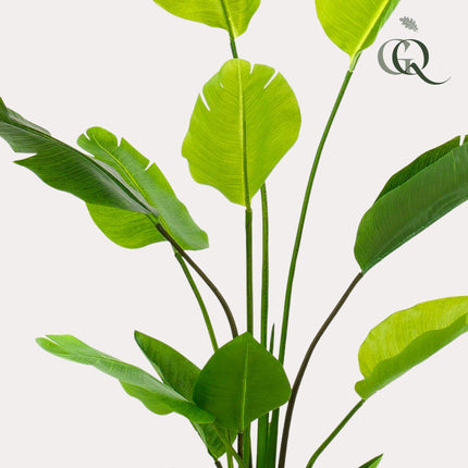 Kunstplant - Strelitzia Nicolai - Paradijsvogelbloem - ↕ 150 cm
