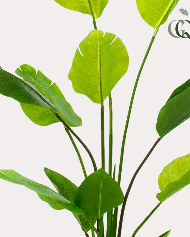 Kunstplant - Strelitzia Nicolai - Paradijsvogelbloem - ↕ 150 cm