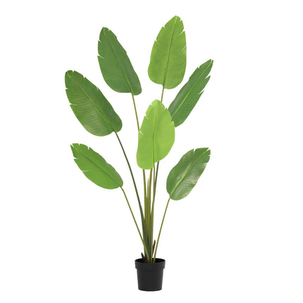 Planta artificial Strelitzia Nicolai - 170cm