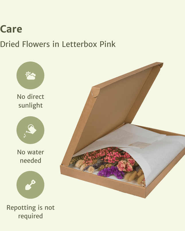 Droogbloemen in Letterbox - Pink