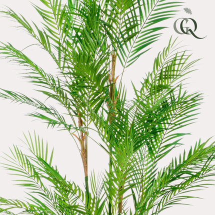 Kunstplant - Chamaedorea Elegans - Bergpalm - ↕ 180 cm