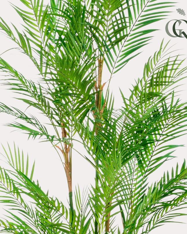 Kunstplant - Chamaedorea Elegans - Bergpalm - ↕ 180 cm