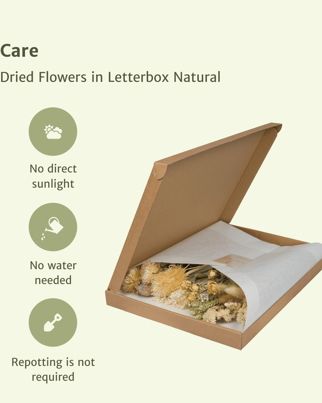 Droogbloemen in Letterbox - Natural