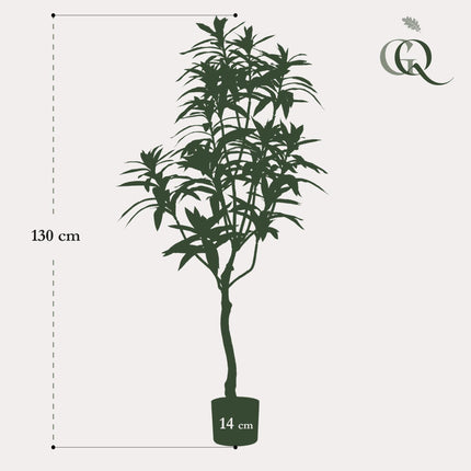 Kunstplant - Dracaena - Drakenboom - ↕ 130 cm