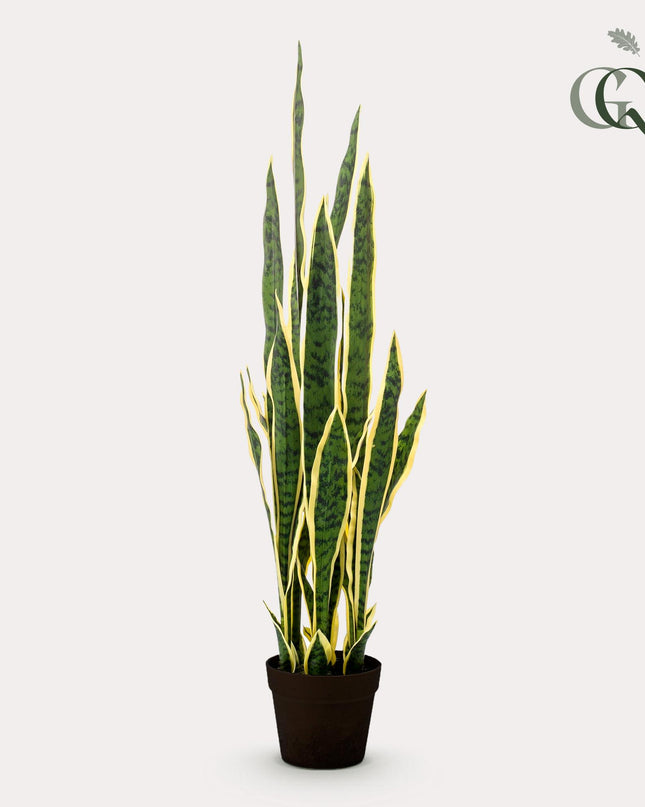 Kunstplant - Sanseveria Trifasciata - Vrouwentong - ↕ 97 cm