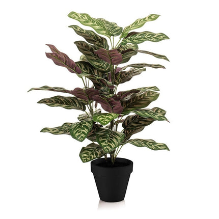 Kunstplant - Calathea in pot - ↕ 65 cm hoog