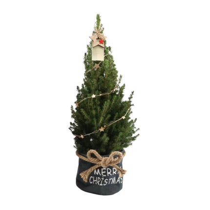Kleine Kerstboom in Xmas Bag blauw + met lichtjes incl. batterijen - 70 cm - Picea Glauca Conica