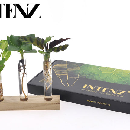 Hydroponie Brievenbuscadeau