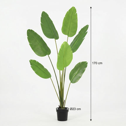 Planta artificial Strelitzia Nicolai - 170cm