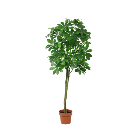 Planta artificial Pachira Aquatica - 150cm