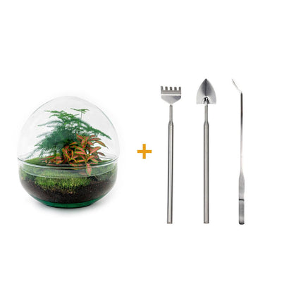 DIY Planten terrarium tweedelig bolglas - Dome Red - Ø 20 cm ↕ 20 cm   - Rake + Shovel + Tweezer