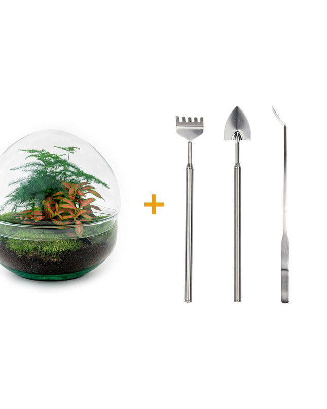 DIY Planten terrarium tweedelig bolglas - Dome Red - Ø 20 cm ↕ 20 cm   - Rake + Shovel + Tweezer