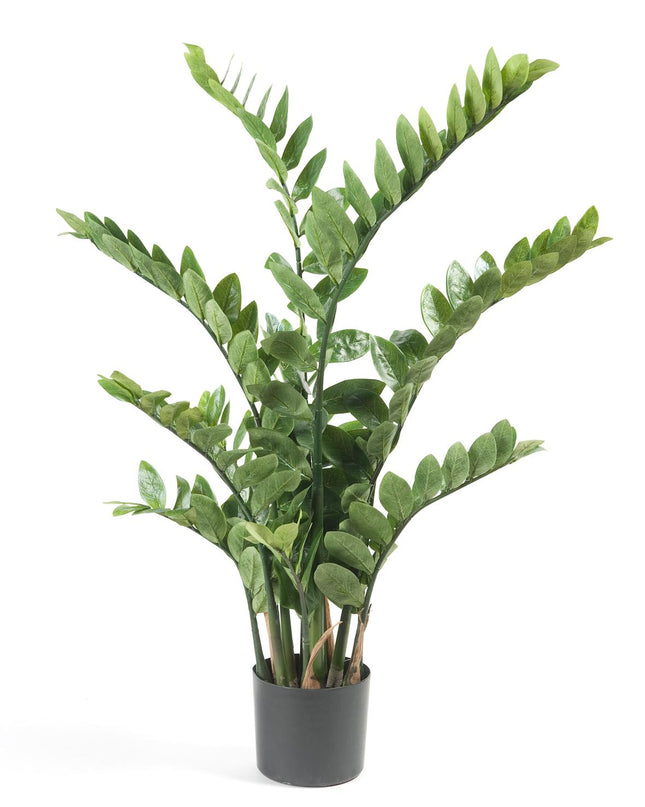 Kunstplant - Zamioculcas - Kamerpalm - 110 cm