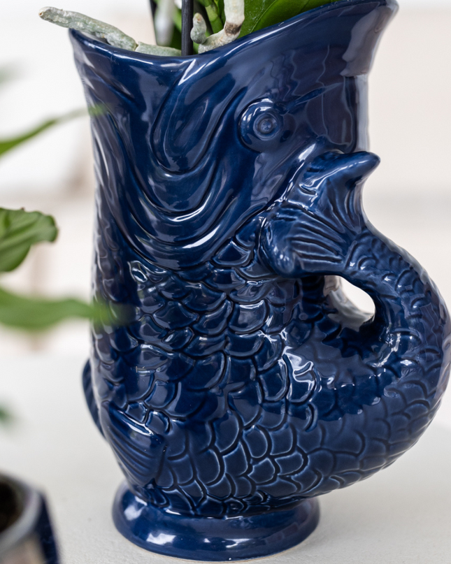 Kolibri Company | Plantenset Mediterranean Sunset | Witte Phalaenopsis Orchidee Lausanne en Succulenten incl. keramieken sierpotten