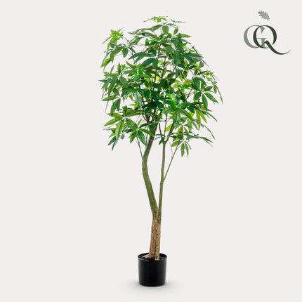 Kunstplant - Pachira Aquatica - Geldboom - ↕ 180 cm