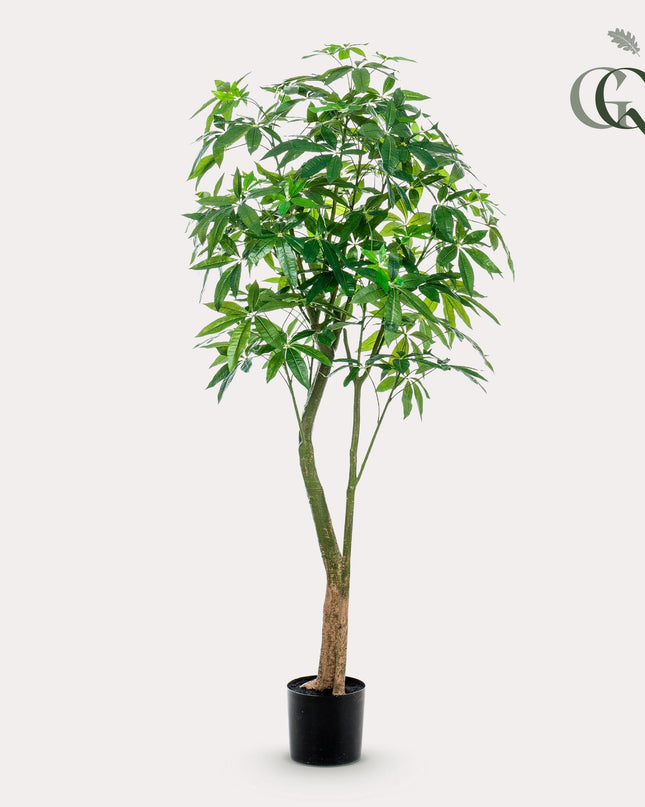 Kunstplant - Pachira Aquatica - Geldboom - ↕ 180 cm