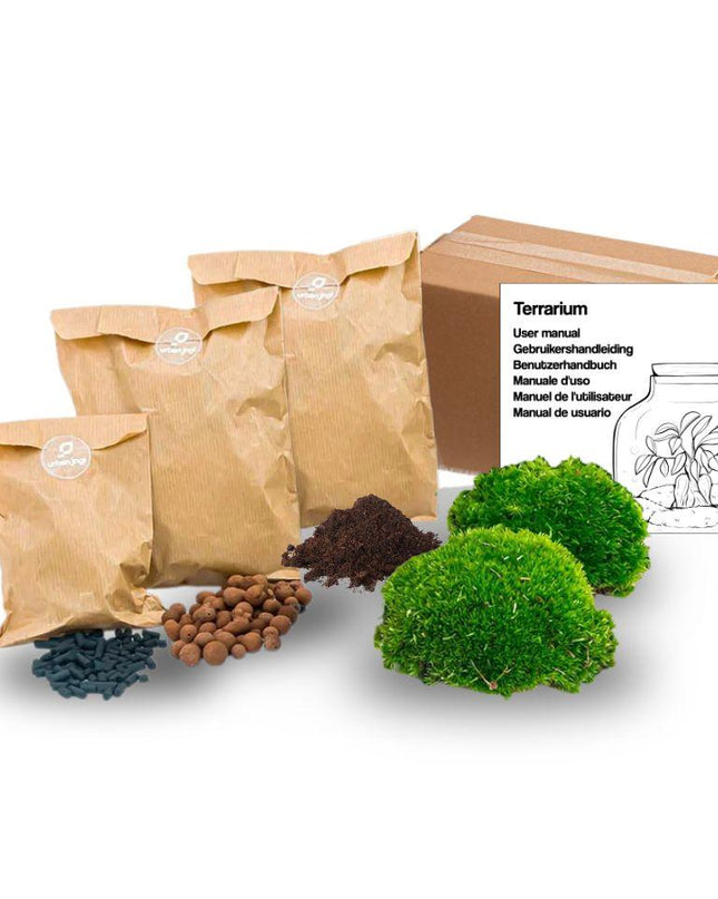 Planten terrarium - Navulling & startpakket - Maat S/M - DIY