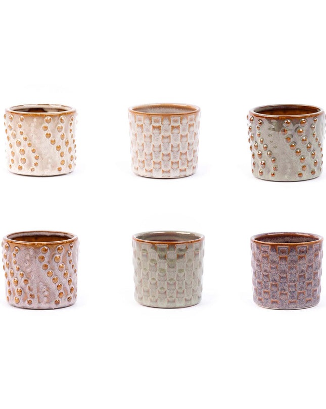 Mini planten set 6 - Inclusief pot set Madrid