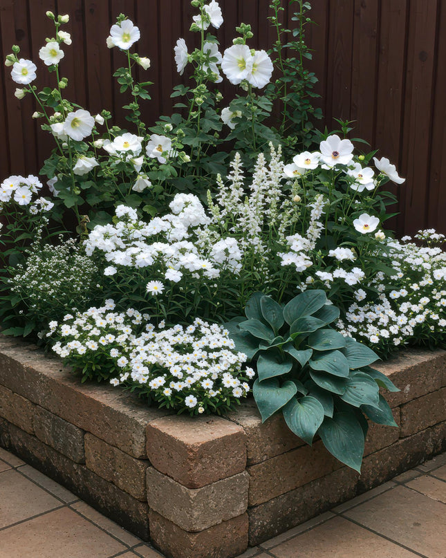 Borderpakket - Kleur Wit - 8 Vaste planten - 1 m2 - Diversen kleuren - Weinig Onderhoud - Pot 11cm