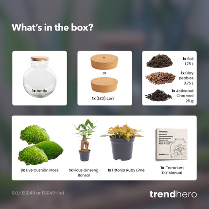 DIY Planten terrarium (met licht) - Teddy Bonsai - Ø 25 cm ↕ 26,5 cm - Met LED-kurk